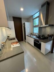 RESIDENCES AT EMERALD HILL (D9), Apartment #581294271